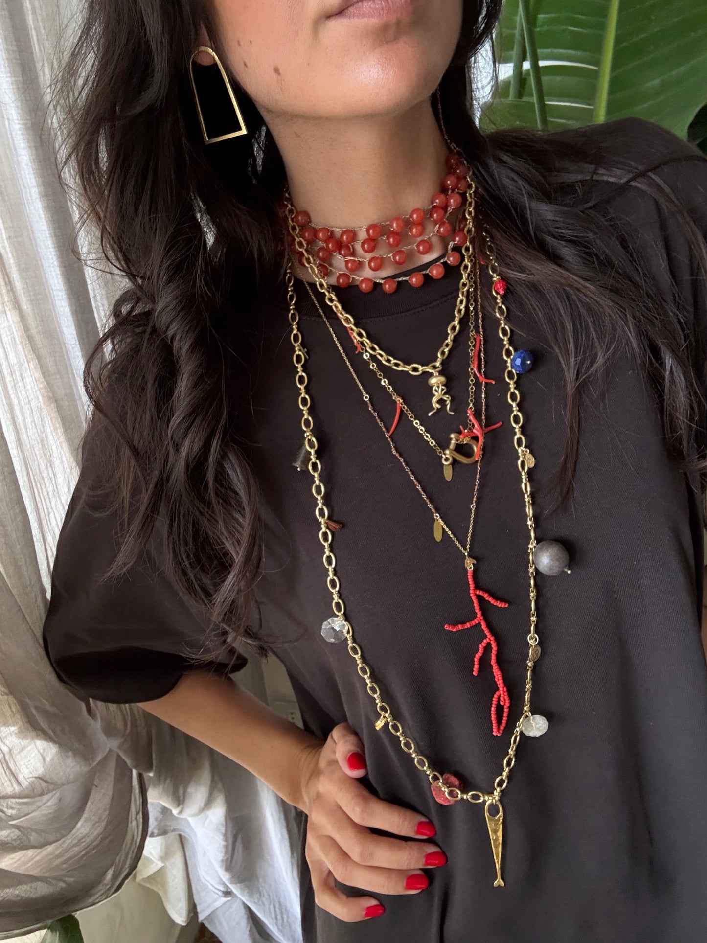 Penelope mandarino